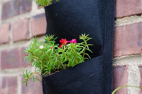 Und der trend für sprießende und blühende wandgärten findet immer mehr anhänger. Vertikaler Garten auf dem Balkon » Taschen oder Flaschen ...