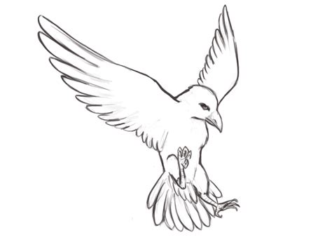 Free Nautical Star Outline, Download Free Clip Art, Free Clip Art on