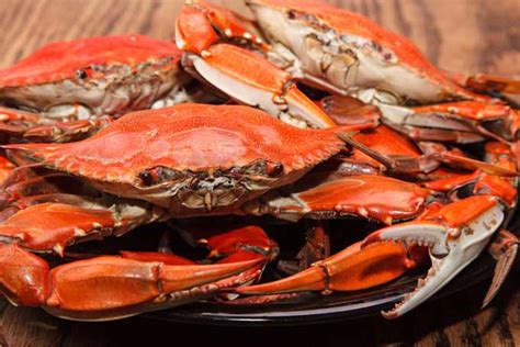 The most important thing when cooking blue crabs is that you can't cook dead crabs. How to Buy, Clean, and Cook Crabs the Right Way | Foodal