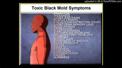 Mary Ackerley The Brain On Fire The Role Of Toxic Mold In Triggering