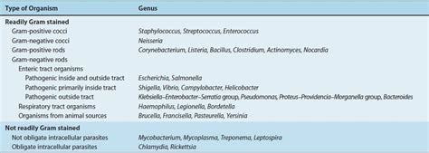 Overview Of The Major Pathogens And Introduction To Anaerobic Bacteria
