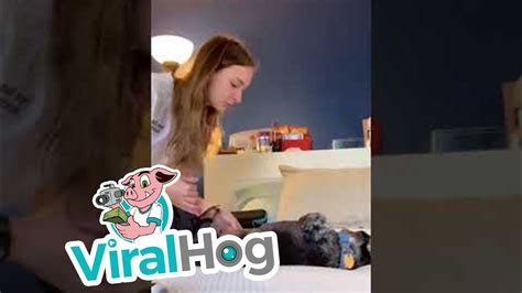 Happy Doggy Helps Nursing Student Practice Viralhog Youtube