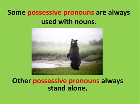 Ppt Possessive Pronouns Powerpoint Presentation Free Download Id
