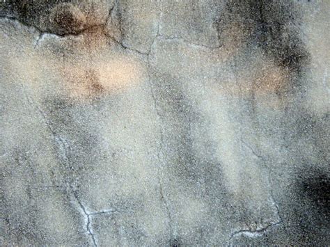 Dark Grey Concrete Texture Free Stock Photo Public Domain Pictures
