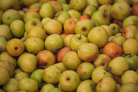 434 Bangladeshi Fruit Stock Photos Free And Royalty Free Stock Photos