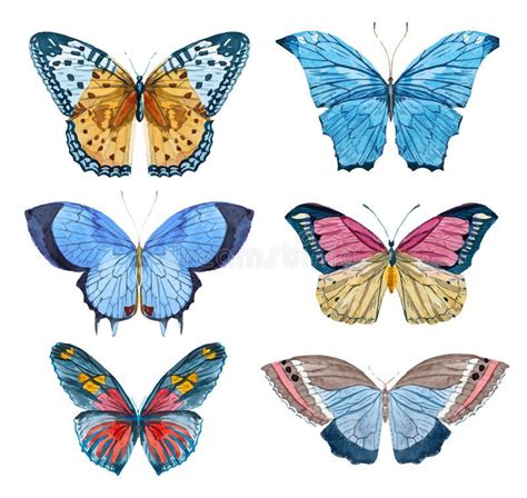 Download Watercolor Vector Butterflies Stock Vector Illustration Of