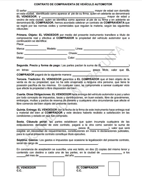 Nominal Almohada Botánico Carta De Compraventa De Vehiculo Tormenta