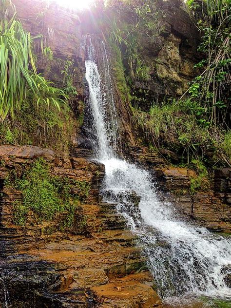 Tarzan Falls By William Del Castillo Places To Go Tarzan Waterfall