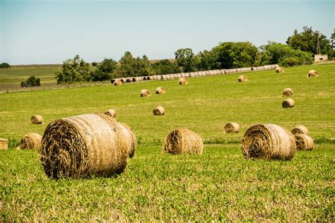 Farm Hay Field Free Photo On Pixabay Pixabay