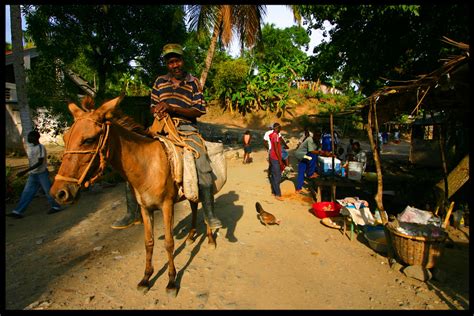 Man On A Donkey Small Village Near Saint Marc Haiti Lindsay Stark