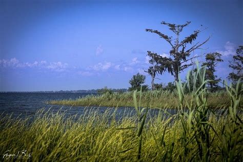 Lake Pontchartrain⁠ 📷 Eugenebrill⁠ ⁠ ⁠ ⁠ Endextinction