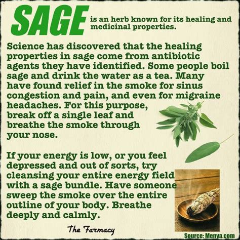 The Healing Properties Of Sage Sage Benefits Herbal Healing Herbs