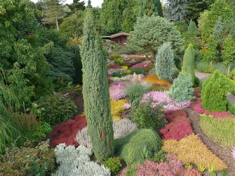 Der botanische garten christiansberg ist ein sehr. Heidezüchtung Kramer - botanischer garten christiansberg