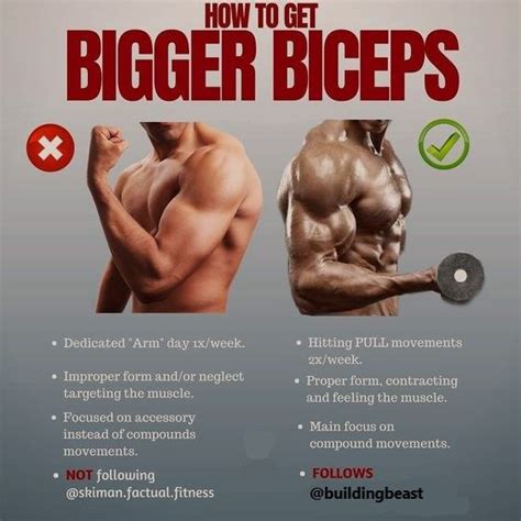 Best Tips And Strategies To Get Bigger And Solid Biceps Arm Workout Men Biceps Workout Gym