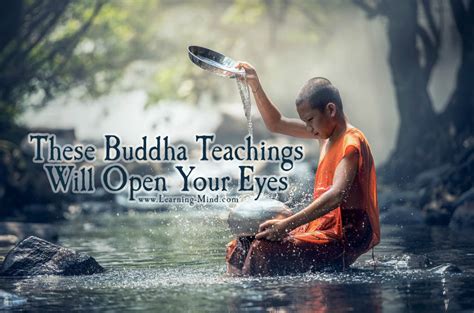 Buddha Teachings That Will Change Your Perspective On Life Learning Mind