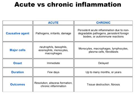 What Is Chronic Inflammation And Why Is It Killing Us