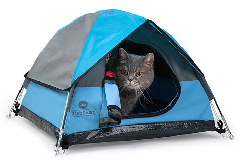Every camper receives a camp tee shirt. You can now buy teeny tents for your cats to camp out in ...