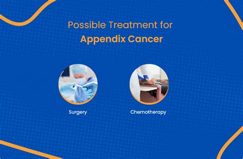 Appendix Cancer Everything You Need To Know Actc