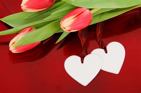 Two Hearts And Flowers Free Stock Photo Public Domain Pictures