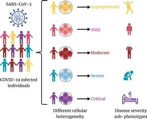 Frontiers Cellular Heterogeneity In Disease Severity And Clinical
