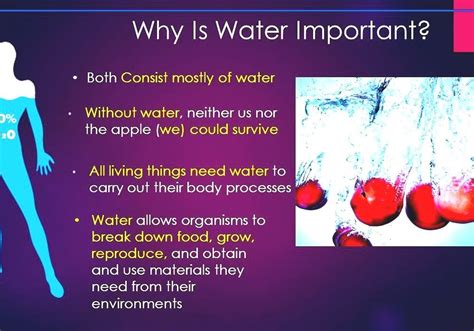 Water Why Is Water Important To Life