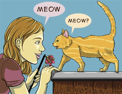 We did not find results for: 3 Ways to Communicate with Your Cat - wikiHow