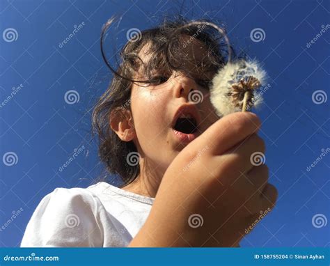 A Little Girl Blowing Dandelion Seeds Stock Photo Image Of