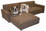 Furniture Style Beds For Dogs Photos