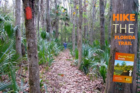 Hikes In Florida Florida Hikes Florida Trail Hiking In Florida