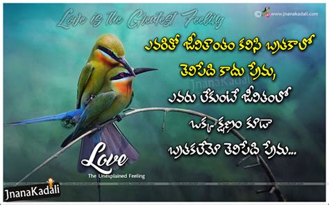 Beautiful Telugu Heart Touching Love Feeling Quotes With Love Birds Hd