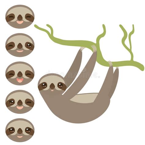 Three Toed Sloths Stock Illustrations 77 Three Toed Sloths Stock