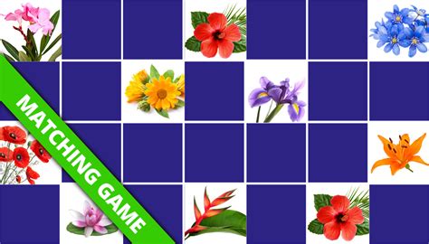 Play Matching Game For Seniors Flowers Online And Free Memozor