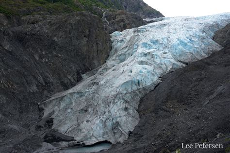 Exit Glacier Trails Hikingwalking Guide With Trail Maps Seward Alaska