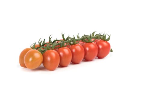 Sugarino Rz F1 74 119 Tomato Mini Roma Rijk Zwaan Au Rijk