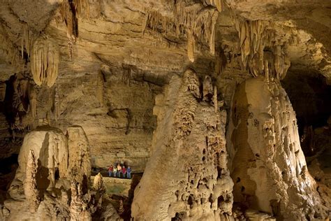 Natural Bridge Caverns Discovery Tour Admission And Lunch Included