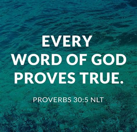Proverbs 305 Nlt Every Word Of God Proves True He Is A Shield To