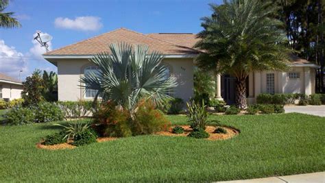 Pin By Jennifer Shangy On Florida Gardens Palm Trees Landscaping