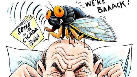 Dave Granlund Cartoon On The Return Of Cicadas