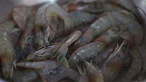 The spicy butterfly shrimp recipe out of our category shrimp! How to Butterfly Shrimp: 8 Steps (with Pictures) - wikiHow