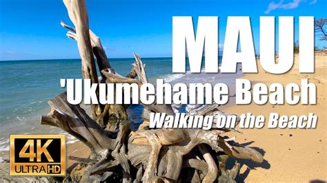 Passing Through Eroding Kiawe Trees And Lazy Surf At Ukumehame Beach