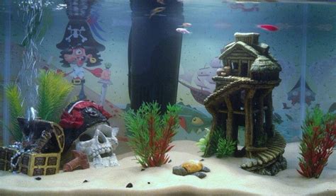 Maybe you would like to learn more about one of these? Pirate themed fish tank. Setup uses some store bought ...