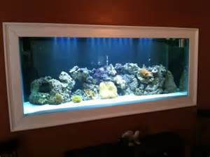 fish tank built into wall
