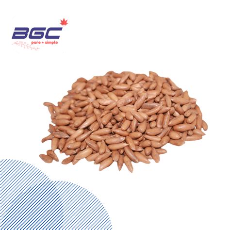 With over 35 years' experience in australian wholesale food industry, we take pride in our premium quality products. Pine Nuts (Wholesale Prices) - BAKHSHI GROUP CORPORATION