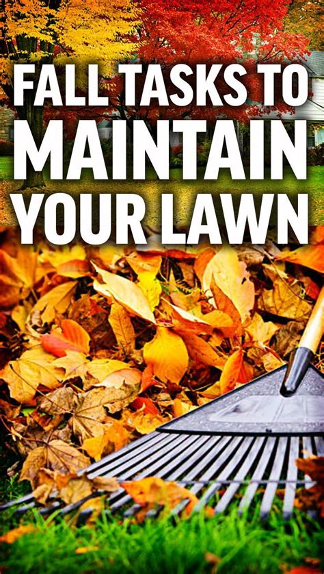 Fall Lawn Maintenance Tips Fall Lawn Maintenance Fall Lawn Lawn
