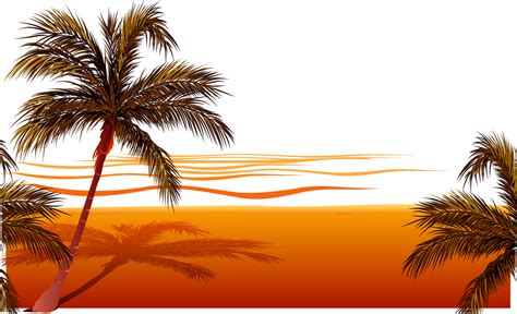 Beach Sunset Clip art - Vector beach png download - 1157*703 - Free png image