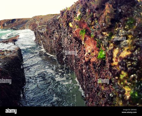 Sea Water Dripping Over Rocks Stock Photo Alamy