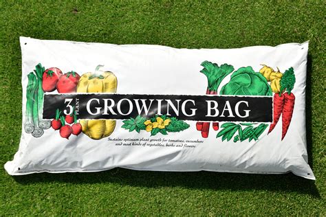 3 Plant Growing Bag