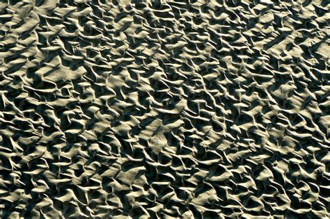 Patterns are found on the smallest and biggest scales in nature, from spirals in snails to tessellations in honeycomb. Tessellation Patterns | spacemakeplace