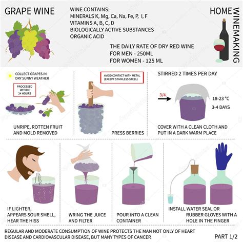 Elaboración De Vino En Casa Vino De Uvas Infografías 2022