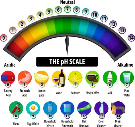 The Ph Scale Diagram On White Background Vector Art At Vecteezy